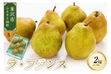 《先行予約》【令和7年産】ラ・フランス 2kg （4～7玉） 2025年11月中旬頃～ お届け 洋梨 ラフランス 2025年産