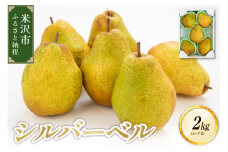 《先行予約》【令和7年産】シルバーベル 2kg （4～7玉） 2025年12月中旬～ お届け 洋梨 西洋梨 2025年産