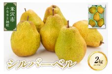 《先行予約》【令和7年産】シルバーベル 2kg （4～7玉） 2025年12月中旬～ お届け 洋梨 西洋梨 2025年産