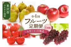 《先行予約》【定期便】令和7年産 フルーツ定期便 4回 配送 さくらんぼ ぶどう りんご ラ・フランス 2025年6月中旬～ 発送開始 2025年産