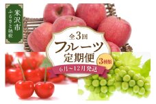 《先行予約》【定期便】令和7年産 フルーツ定期便 3回 配送 さくらんぼ シャインマスカット りんご 2025年6月中旬頃～ 発送開始 2025年産