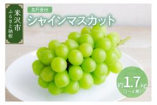 《 先行予約 》〔 令和7年産 〕 シャインマスカット 約1.7kg 2房 ～ 4房 〔 2025年9月中下旬～10月上旬頃お届け 〕 2025年
