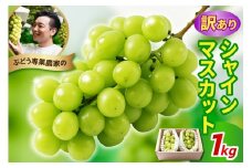 《 先行予約 / 令和7年産 》 訳ありシャインマスカット1kg