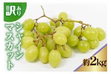 《 先行予約 / 令和7年産 》 訳ありシャインマスカット2kg