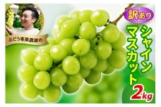 《 先行予約 / 令和7年産 》 訳ありシャインマスカット2kg