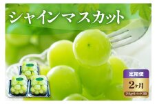 《 先行予約 / 令和7年産 》【 2ヵ月定期便 】 山形県産 粒シャインマスカット 210g×3パック 2回〔 2025年9月下旬頃 ～ お届け 〕 ぶどう 白ぶどう 2025年産 