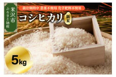【 令和7年産 】 コシヒカリ 5kg 【栽培期間中農薬不使用・化学肥料不使用】 産地直送 2025年産