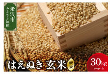 【 令和7年産 】 はえぬき 玄米 30kg （ 30kg × 1袋 ） 産地直送 2025年産 米沢産 玄米 山形県 米沢市