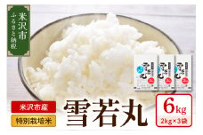 《 先行予約 》【 令和7年産 】 特別栽培米 雪若丸 計6kg ( 2kg×3袋 ) 〔2025年10月中下旬頃～順次お届け〕2025年産 産地直送 農家直送
