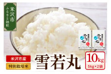 《 先行予約 》【 令和7年産 】 特別栽培米 雪若丸 計10kg ( 5kg×2袋 ) 〔2025年10月中下旬頃～順次お届け〕2025年産 産地直送 農家直送
