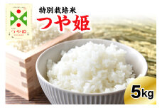 《先行予約》 ※2025年12月発送分※ 【令和7年産】 特別栽培米 つや姫  5kg 〔精米〕