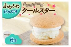 クールスター (ブッセケーキ) アイス クリーム ブッセ 6個入 スイーツ お菓子 洋菓子 おやつ 冷凍 山形県 米沢市