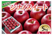 【 令和7年産 】 シナノスイート （ りんご ） 5kg 14～20玉 〔 10月中旬～お届け 〕 2025年産