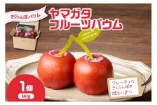 YAMAGATA FRUITS BAUM さくらんぼ バウムクーヘン 数量限定 10～12月発送 または 5～6月発送