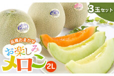【令和7年産先行予約】 お楽しみメロン 3玉セット 2Lサイズ 山形県 庄内産 砂丘メロン 三昧 アンデスメロン・鶴姫メロン・鶴姫レッドメロン の中から3玉お届け 食べ比べ JA鶴岡 K-736