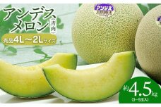 【令和7年産先行予約】 アンデスメロン 3玉～5玉　秀品 4L～2L　K-739　JA鶴岡