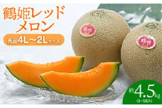 【令和7年産先行予約】 鶴姫レッドメロン 約4.5kg（3玉～5玉） 秀品 4L～2L　K-743　JA鶴岡　赤肉メロン
