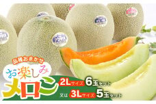 【令和7年産先行予約】お楽しみメロン 3L5玉セット または 2L6玉セット 山形県 庄内産 砂丘メロン 食べ比べ K-760　JA鶴岡