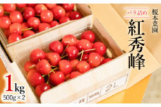 【令和7年産先行予約】 さくらんぼ 紅秀峰 バラ詰め 1kg(500g×2) 山形県 鶴岡市産 榎本菜園 K-763