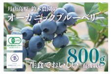 令和7年産　月山高原のオーガニックブルーベリー(大粒・800g)　K-751