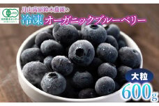 令和7年産【冷凍】月山高原のオーガニックブルーベリー(大粒・600g)　K-742