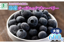 令和7年産【冷凍】月山高原のオーガニックブルーベリー(大粒・600g)　K-742