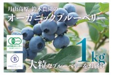 令和7年産　月山高原のオーガニックブルーベリー(大粒1kg)　K-758