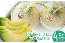 【令和7年産 先行予約】菅原農園の庄内砂丘メロン 約4.5kg （3玉～5玉） アンデス メロン 【7月下旬～8月上旬】　k-735　菅原農園　鶴岡地区物産協同組合