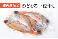 A01-406　庄内浜加工のどぐろ一夜干し2枚セット