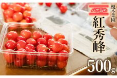 【令和7年産先行予約】さくらんぼ 紅秀峰 バラ詰め 500g 山形県 鶴岡市産 榎本菜園 K-732