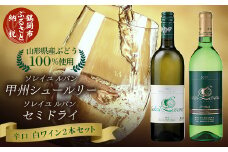 A45-001　白ワイン　飲み比べ2本セット　ソレイユルバン・甲州シュールリー　ソレイユルバン・セミドライ　750ml・720ml