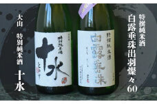 日本酒　大山＆竹の露　特撰純米呑み比べセット　受賞　1800ml×2本　K-767