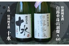 日本酒　大山＆竹の露　特撰純米呑み比べセット　受賞　1800ml×2本　K-767