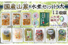 国産山菜水煮セット【大】B01-451