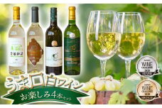 うま口白ワイン　お楽しみ4本セット（ソレイユルバン　甲州シュールリー　他）750ml×1本　720ml×3本　K18-778
