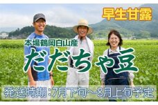 【令和7年産先行予約】本場鶴岡市白山産 冨樫藤左エ門のだだちゃ豆(早生甘露) 1.2kg (300g×4袋)　K-731
