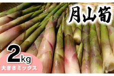 【令和8年産先行予約】月山筍（ネマガリダケ） サイズミックス2kg　がっさん たけのこ　鶴岡市朝日東部地区自治振興会