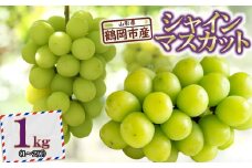 【令和7年産先行予約】 鶴岡市産シャインマスカット 約1kg(1～2房) K-733    JA庄内たがわ　
