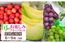 【定期便】【令和7年産先行予約】 山形県鶴岡産 旬のお楽しみフルーツセット (果物) さくらんぼ・メロン・大粒ぶどうの詰合せ (計3回)　産直あぐり 
