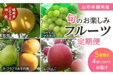 【定期便】【令和7年産先行予約】 山形県鶴岡産 旬のお楽しみフルーツセット(果物) 和梨＆シャインマスカット＆ラ・フランス＋庄内柿＆りんご (計4回、5種) 産直あぐり