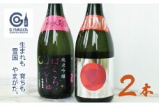 【竹の露】 日本酒 飲み比べ 2本セット 【純米大吟醸 白露垂珠 BUONO 雪女神 ＆ 純米吟醸 はくろすいしゅ Fairy55 小悪魔】 (各720ml×1本) 山形県酒類卸株式会社　K-642