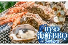 【令和7年 先行予約】庄内浜海鮮ＢＢＱ（バーベキュー）セット　２～３人前 K-746