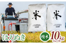 数量限定 【令和7年産先行予約】 山形県庄内産 小池半左衛門のお米 はえぬき 精米 10kg (5kg×2袋)　