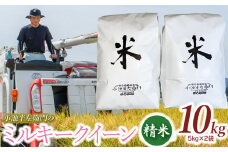 数量限定 【令和7年産先行予約】 山形県庄内産 小池半左衛門のお米 ミルキークイーン 精米 10kg (5kg×2袋)
