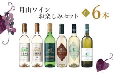 C85-201　月山ワイン　白ワイン６本　お楽しみセット
