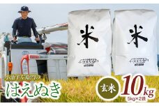 数量限定 【令和7年産先行予約】 山形県庄内産 小池半左衛門のお米 はえぬき 玄米 10kg (5kg×2袋)