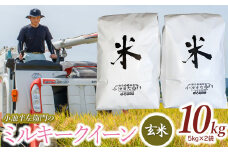 数量限定 【令和7年産先行予約】 山形県庄内産 小池半左衛門のお米 ミルキークイーン 玄米 10kg (5kg×2袋)