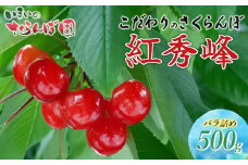 【令和8年産先行予約】　こだわりのさくらんぼ　「紅秀峰」　（2L以上）バラ詰め 500g いまいのさくらんぼ園 K-835
