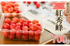 【令和7年産先行予約】 さくらんぼ 紅秀峰 バラ詰め 700g 山形県 鶴岡市産 榎本菜園 K-745