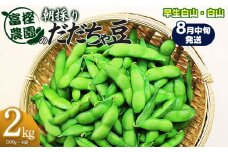 【令和7年産先行予約】 富樫農園の朝採りだだちゃ豆【8月中旬発送】2kg (500g×4袋) 早生白山・白山　K-742